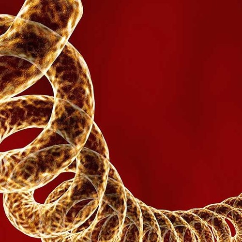 trying trying [preview]