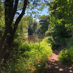 former hero - language night set