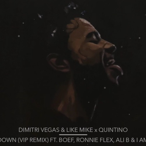 Slow Down (Quintino VIP Remix)