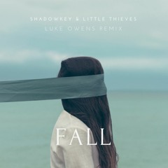 SHADOWKEY & LITTLE THIEVES - Fall - Luke Owens Remix