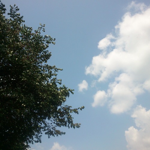 ilir-ilir dilanjut Ladrang ayun-ayun pelog 6 (gubahan)