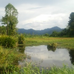 Mari Kangen