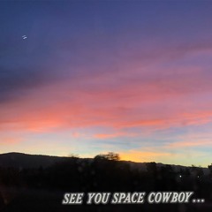 space cowboy (kacey musgraves cover)