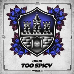 UBUR - Too Spicy