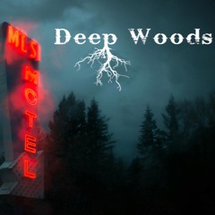 3 Year Anniversary - inTransit - Deep Woods live set