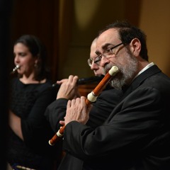 Recorder Dimminution