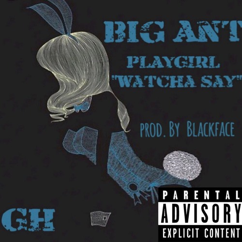 Big Ant x PlayGirl(Watcha Say Girl) Prod. By BlackFace