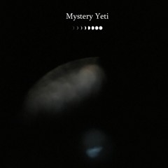 Mint feat. Snowbank prod by Mystery Yeti