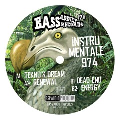 Bass Addict Records 17 - A2 Instru Mentale - Renewal