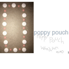 Poppy Pouch