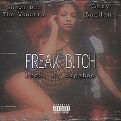 Shawn Don The Woodsta - Freak Bitch ft GaryBandana ( Prod. By BiggBoo) insta:@thawoodsta