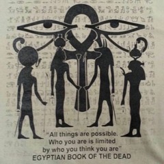 Spark In Me x Polo Tone