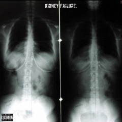 KIDNEY FAILURE.