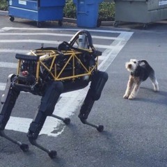 Hate Amerikkka (semtek split version)