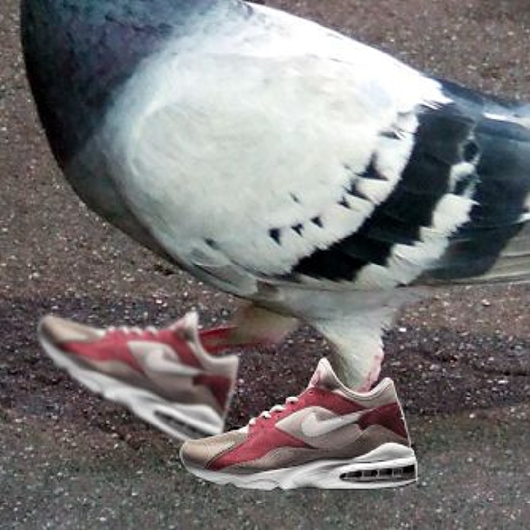 Pideon Max Stream Pigeon Max '93 by AirVermin | Listen online for free on SoundCloud