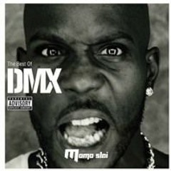DMX - Up in here ! (Momo Slai Remix) Free download [ edm, house, hip hop, party, dance, workout ]