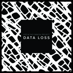 EiZO & The Caracal Project - Data Loss [free download]