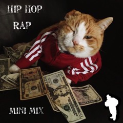 Hip Hop & Rap MiniMix