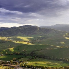 ニック・ドレイクと冬の朝