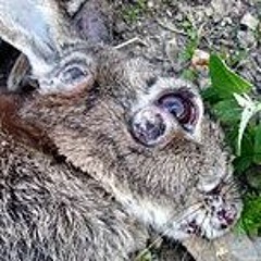 BEST OF LA STAR (REASONS)