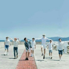 RUN - BTS BALLAD REMIX