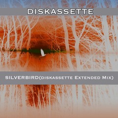 SILVERBIRD(diskassette Extended Mix)