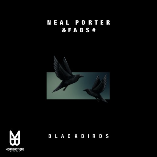Neal Porter & Fabs# - Blackbirds (Original Mix) [Snippet Preview]