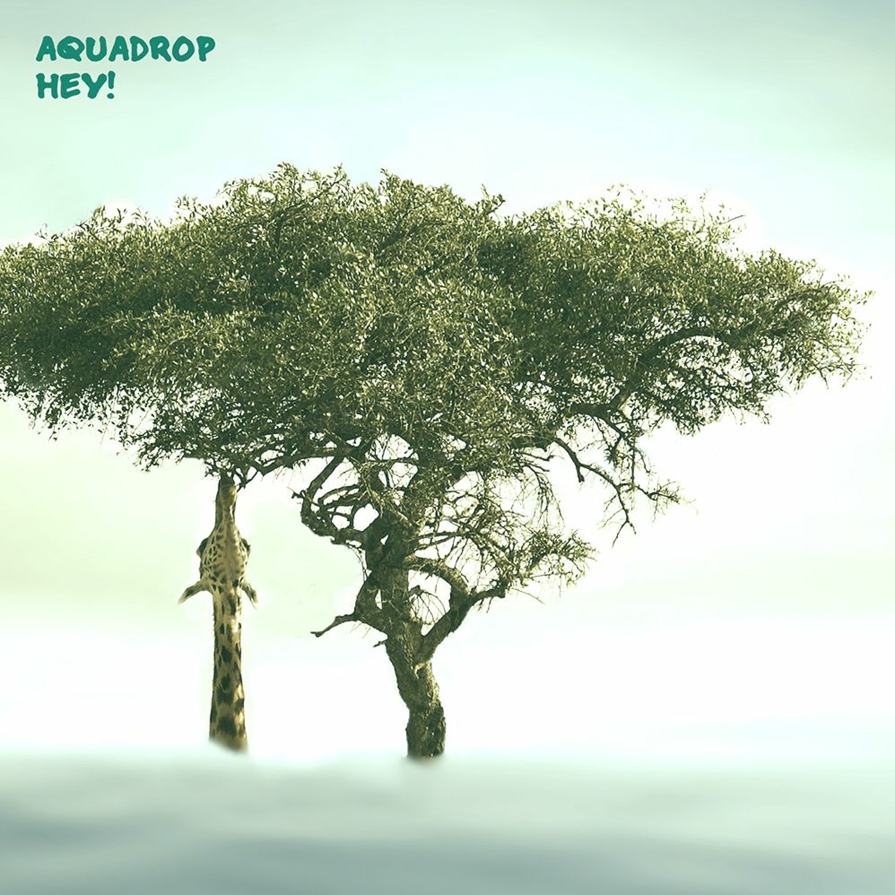 Aquadrop