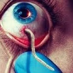 5 Sweating The Quill