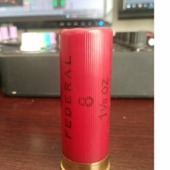 Lucky Shell (Original)