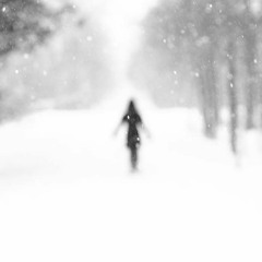 زمستان تنهایی - Winter Loneliness