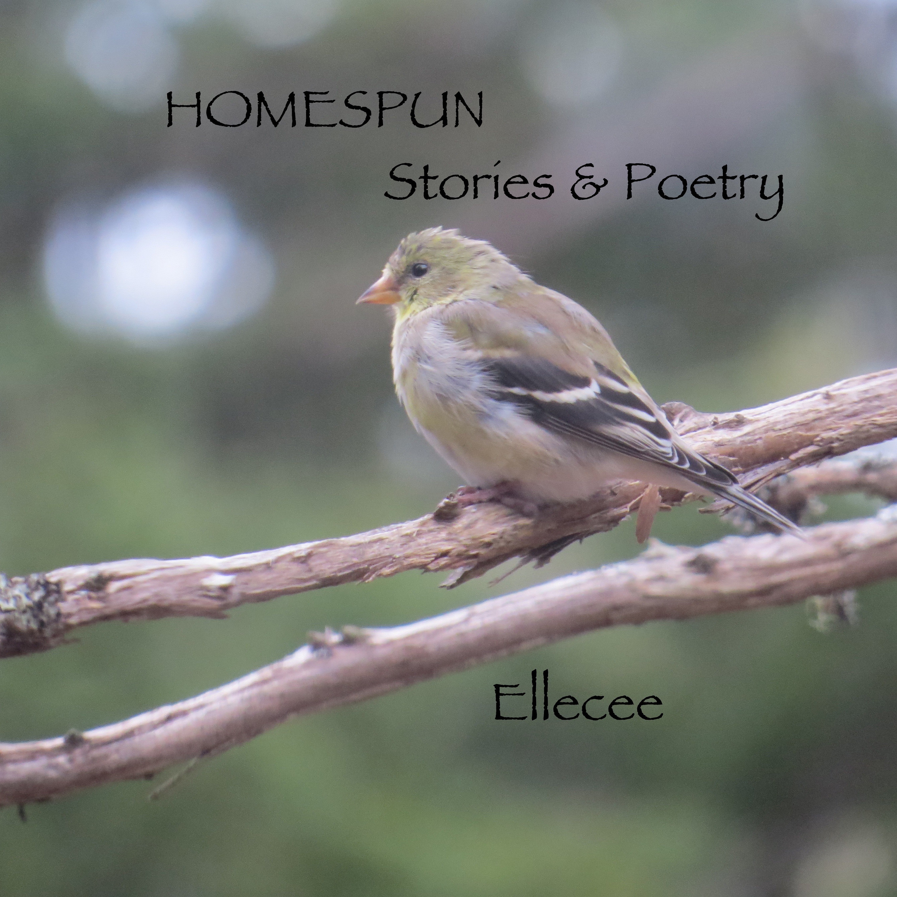 HOMESPUN,  Stories & Poetry
