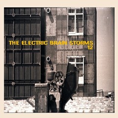 THE ELECTRIC BRAIN STORMS ( Document Twelve )