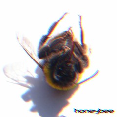 Honey Bee