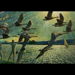 Olsun Da Gör - Melih Cevdet Anday