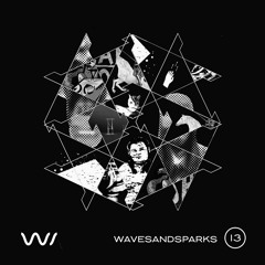 w&s 13