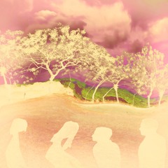 ChickenCoupe(Prod. Solsa)