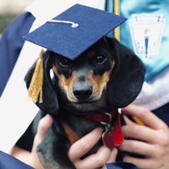 FOURPOINTOH! (Prod. Critch)