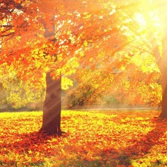 CUANDO SERA OTOÑO - Composición para examen de Titulo