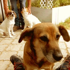 Juani: Jack y Traviata