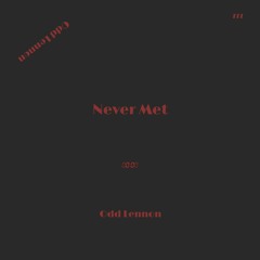 Never Met (Prod. White Davis)
