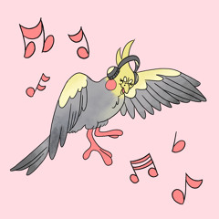 Bird Brain