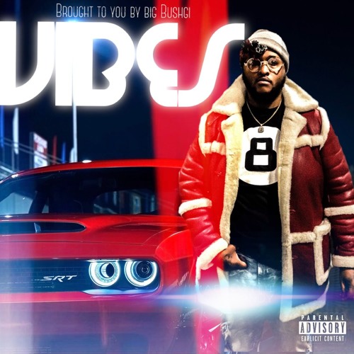 Vibes - Big Bushgi