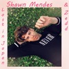 Shawn Mendes And Zedd Lost In Japan Remix Cover Mp3