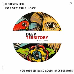 Housenick - Forgret This Love (Original Mix)