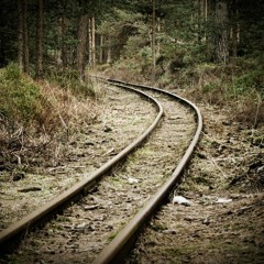 Blood On The Tracks #8