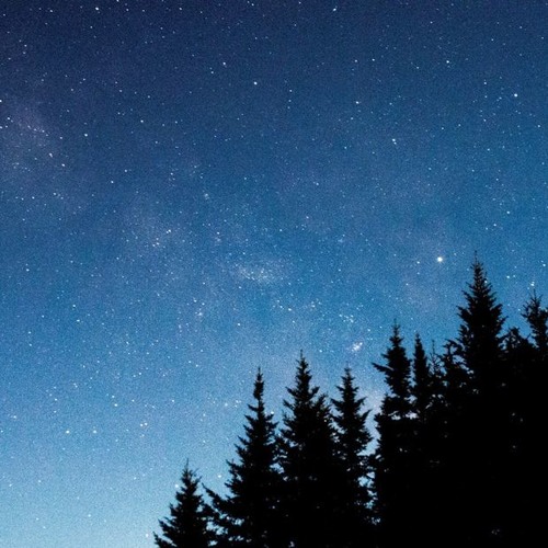 Just One Touch / (Will's Tune)