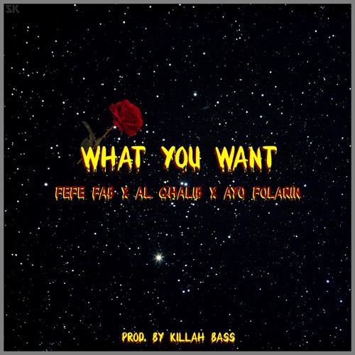What You Want - Fefe Fab + AL Ghalib + Ayo Folarin