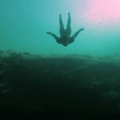 Aquatic