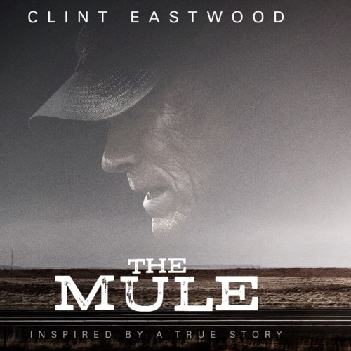 the mule putlocker the mule putlocker